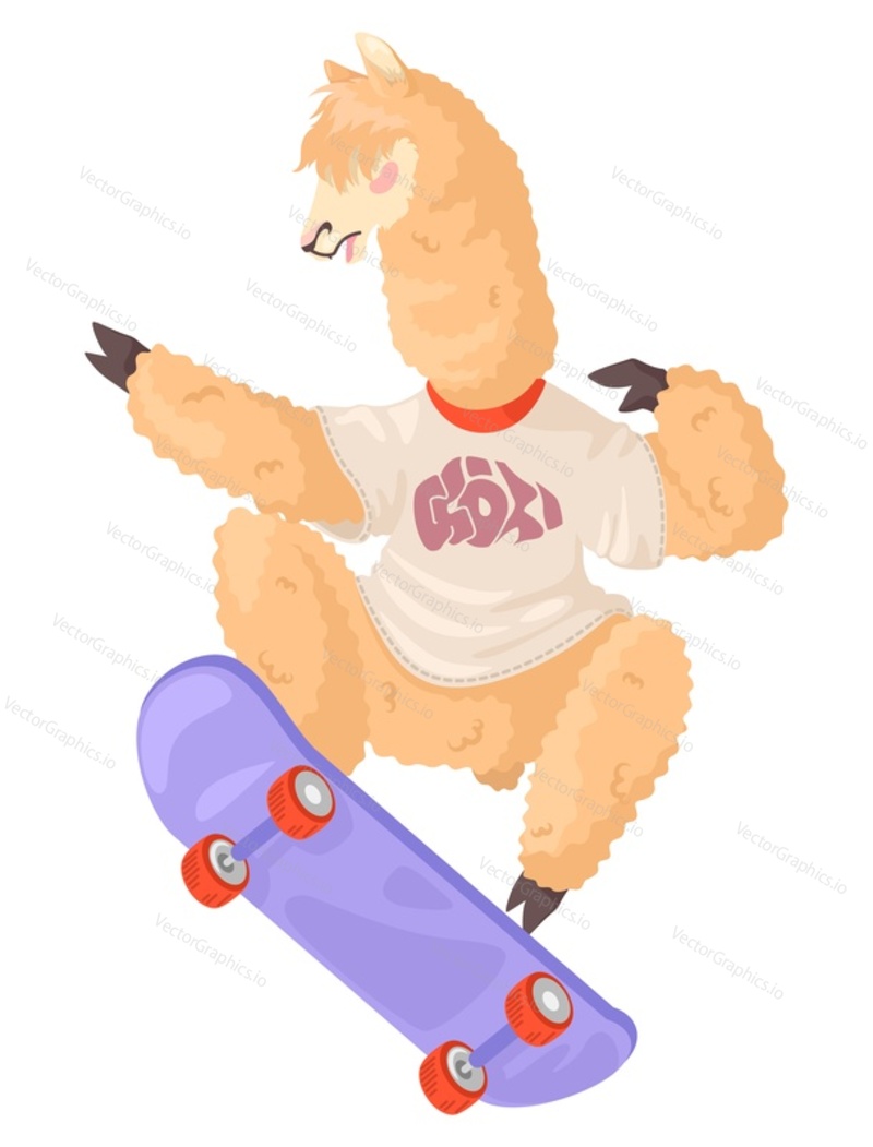 Cute llama alpaca skateboarding vector icon. Happy cartoon animal character riding board isolated on white background. Funny lama wearing hipster t-shirt illustration
