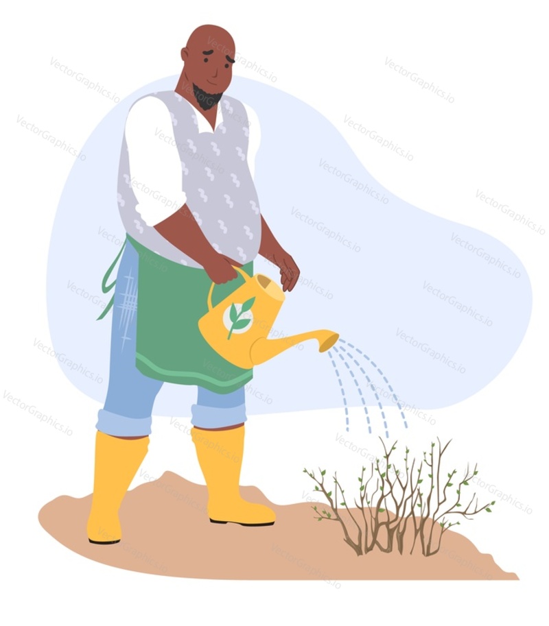 Smiling man gardener watering plant isolated on white background. Male agricultural worker taking care to growing tree seedling vector illustration. Gardening or horticulture farm life concept