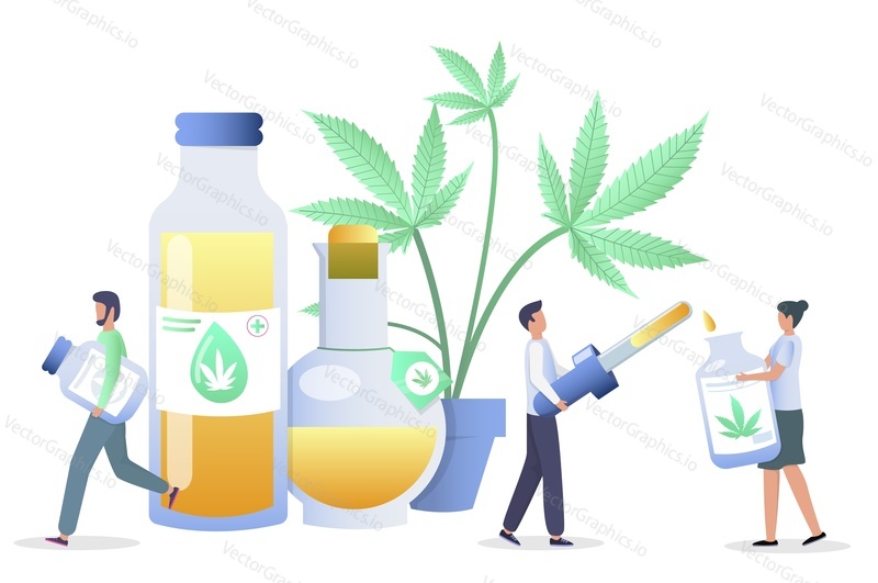 Cannabis oil preparation process with people scientists studying drugs with hemp making med using weed for pharmaceuticals production vector illustration. Pharmacy and alternative medicine