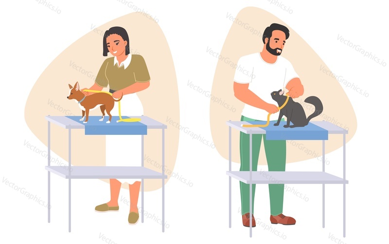 Man and woman seamstress with tape taking measurement of pets vector illustration isolated set on white background. Happy people tailor sewing clothes for dog and cat