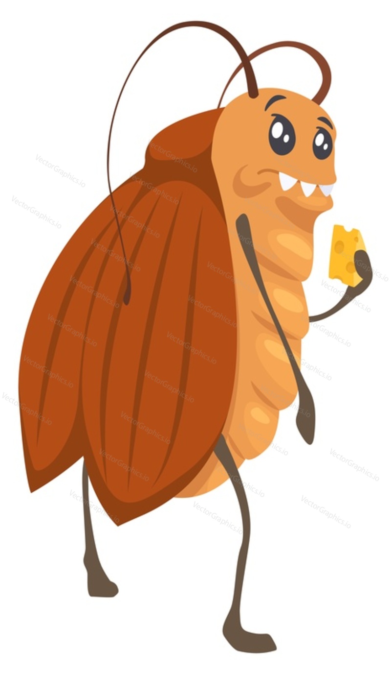 Creepy cockroach character eating piece of cheese vector illustration. Cartoon bad pest funny character isolated on white background