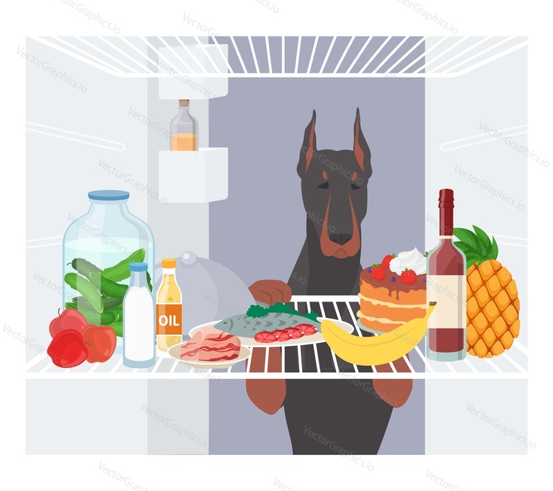 Собака заглядывает внутрь холодильника с плоской мультяшной векторной иллюстрацией. Голодное домашнее животное ищет еду. Любопытный питомец крадет еду из холодильника