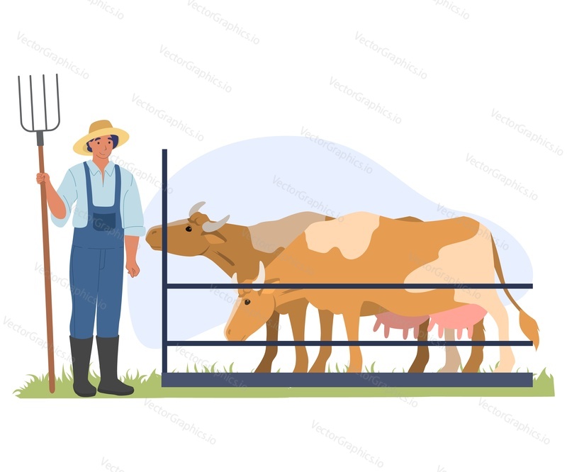 Мужчина-фермер, ухаживающий за коровой в стойле векторная иллюстрация. Мужчина-работник фермы, стоящий с вилами у домашнего скота, изолированный на белом фоне. Концепция сельского хозяйства и сельских угодий