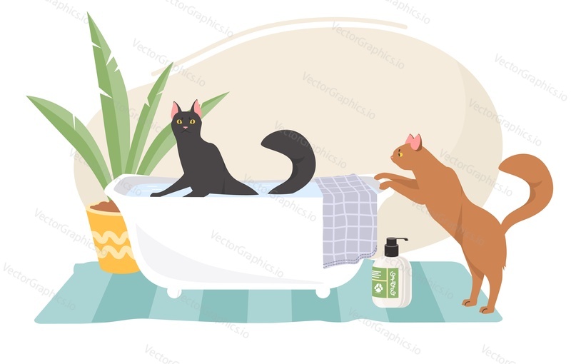 Clean animals vector illustration with cute cat washing in foamy bath scene. Pet grooming and hygienic procedure concept