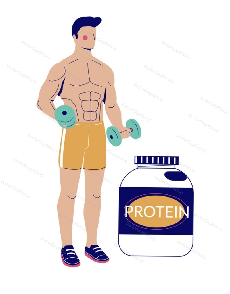 Young muscular bodybuilder holding weights dumbbells standing nearby protein bottle canister isolated on white background. Vector illustration of sportsman advertising sport nutrition supplement