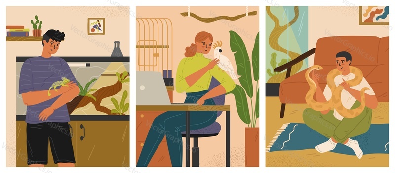 People exotic pet owners at home vector scene set. Man and woman character caring python boa constrictor, cockatoo parrot, chameleon lizard illustration