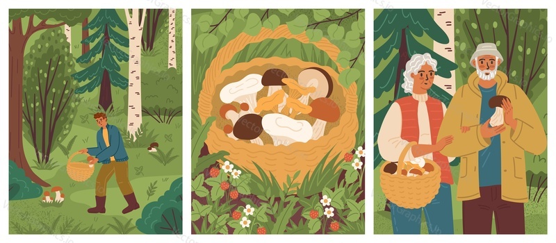 Picking mushroom scene set. Old loving senior couple and young man characters gathering fungus in wild forest on weekend vector illustration