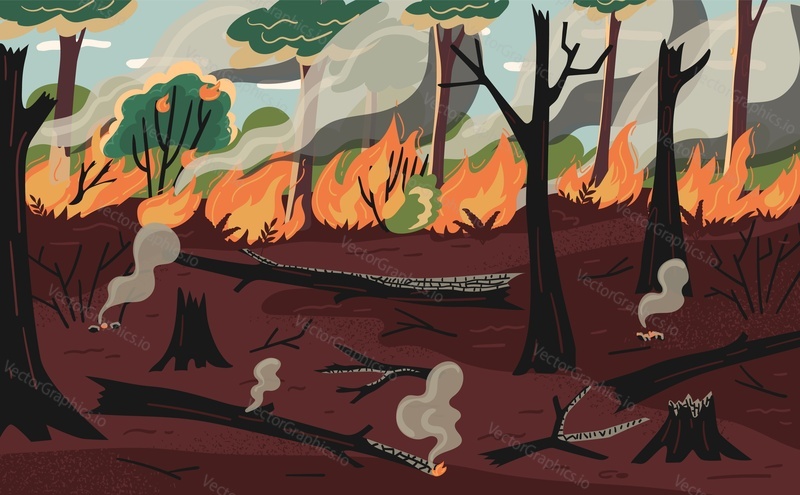 Лесной пожар стихийное бедствие в лесной сцене с сожженными деревьями, пылающим пламенем и векторной иллюстрацией дыма. Экологическая катастрофа из-за изменения климата или неосторожного использования костра людьми в лесу