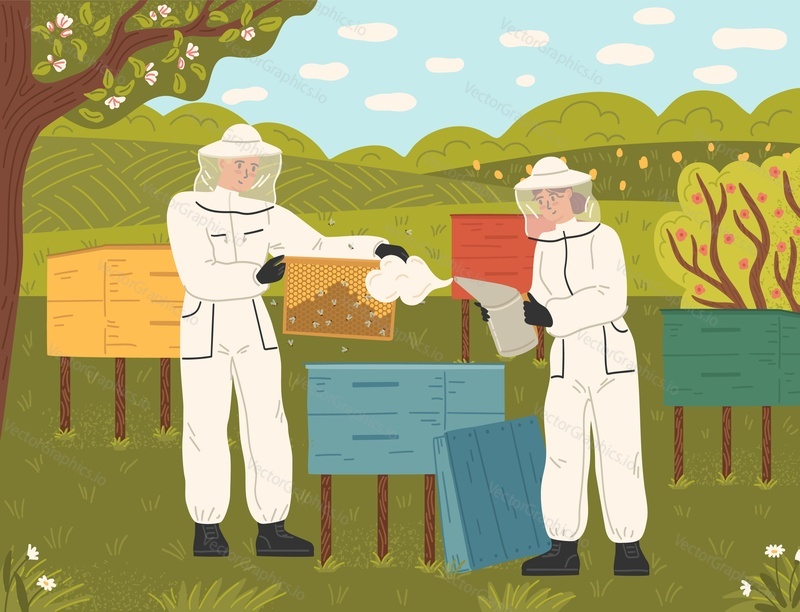 Happy family of beekeeper in uniform working at apiary farm scene. Man and woman hiver couple engaged in natural organic honey production process vector illustration