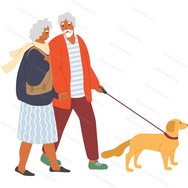 Пожилая пара, гуляющая с собакой, векторный значок, изолированный на белом фоне