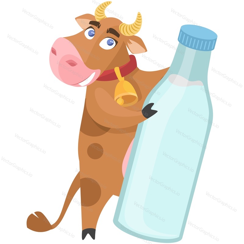 Cow holding milk bottle vector. Funny happy smile farm animal cartoon mascot character offering fresh dairy drink isolated on white background