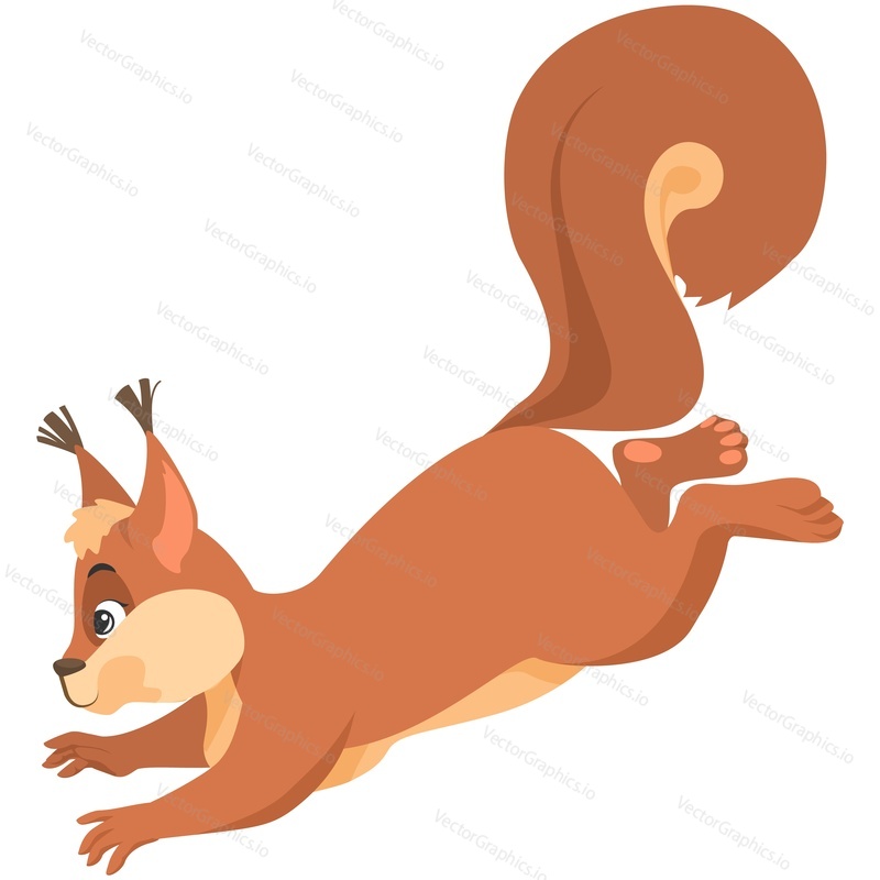 Squirrel jumping vector. Animal logo. Red rodent cartoon icon isolated on white background. Forest wildlife character illustration