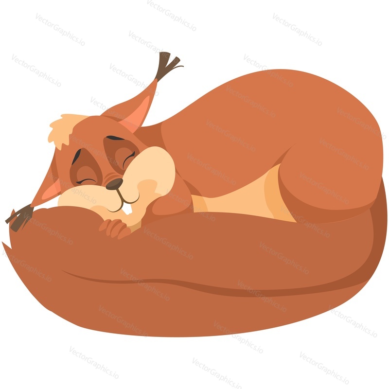 Cute squirrel funny character sleep vector. Adorable wildlife mascot fluffy rodent with furry tail sweet dreams isolated on white background