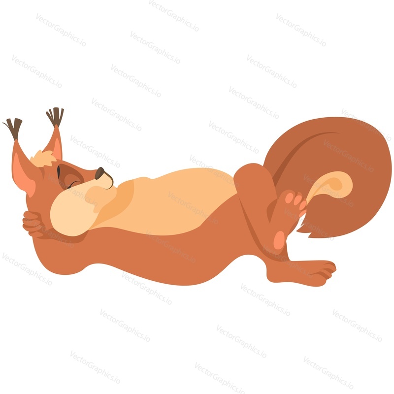 Cute squirrel funny character sleep and rest vector. Adorable wildlife mascot fluffy rodent with furry tail isolated on white background