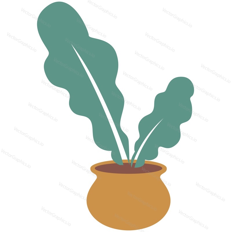 Plant in pot vector. Indoor home fern flower flat icon. Cartoon potted houseplant with green leaf isolated on white background. Flowerpot illustration