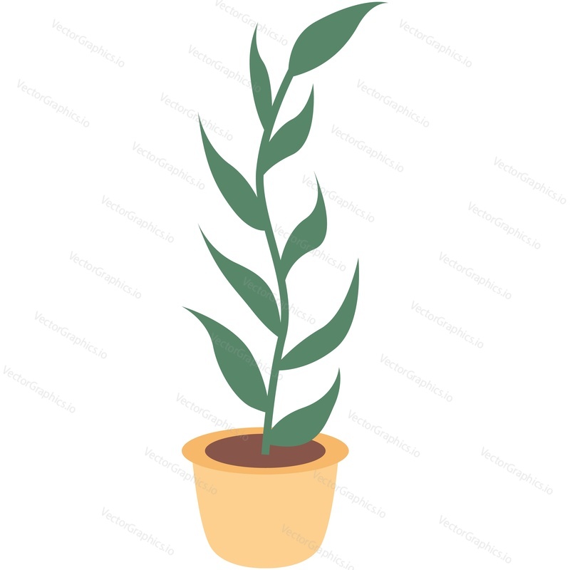 Вектор комнатного растения. Домашний садовый цветок в горшке с зеленым листом на плоской иконке стебля. Мультяшное украшение комнаты, изолированное на белом фоне. Иллюстрация цветочного горшка