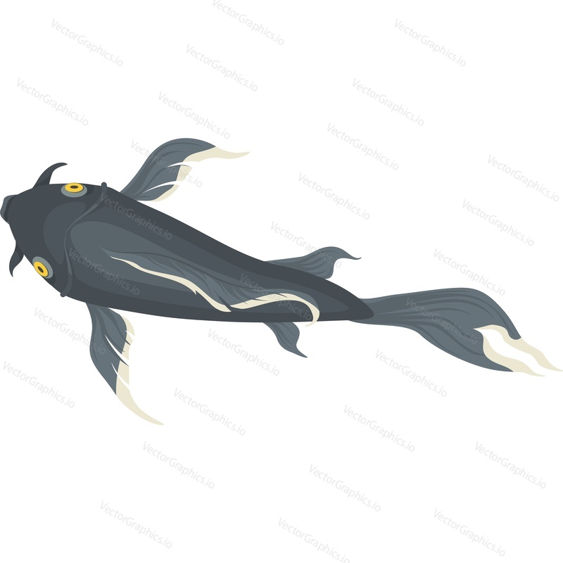 catfish fish top view vector icon isolated on white background.