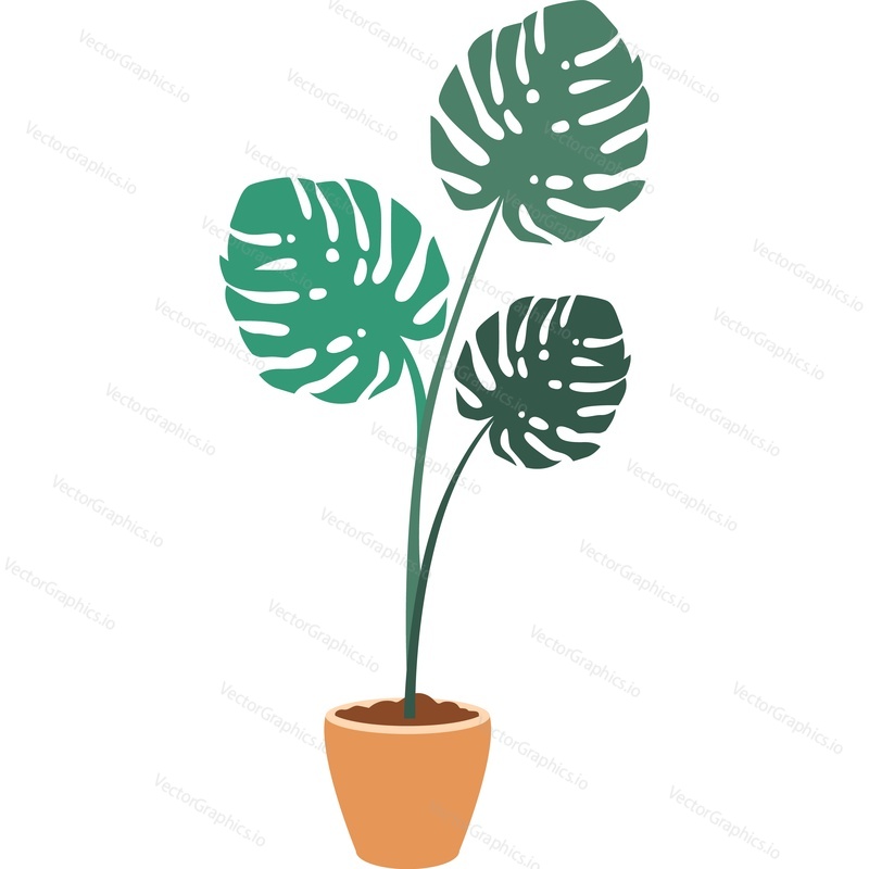 Potted flower green leaves vector icon isolated on white background