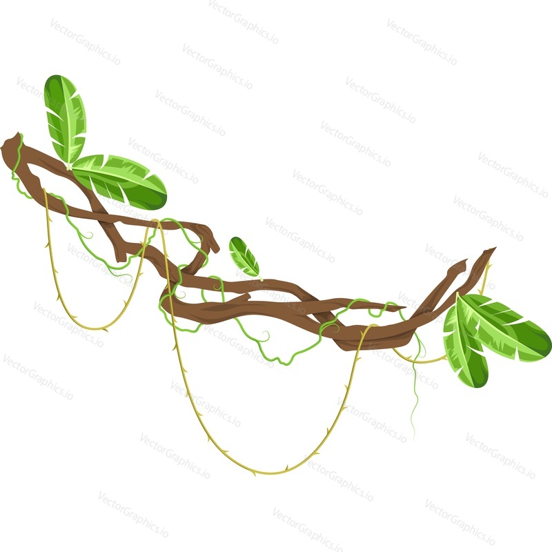 Tropical exotic plant twig vector icon isolated on white background.