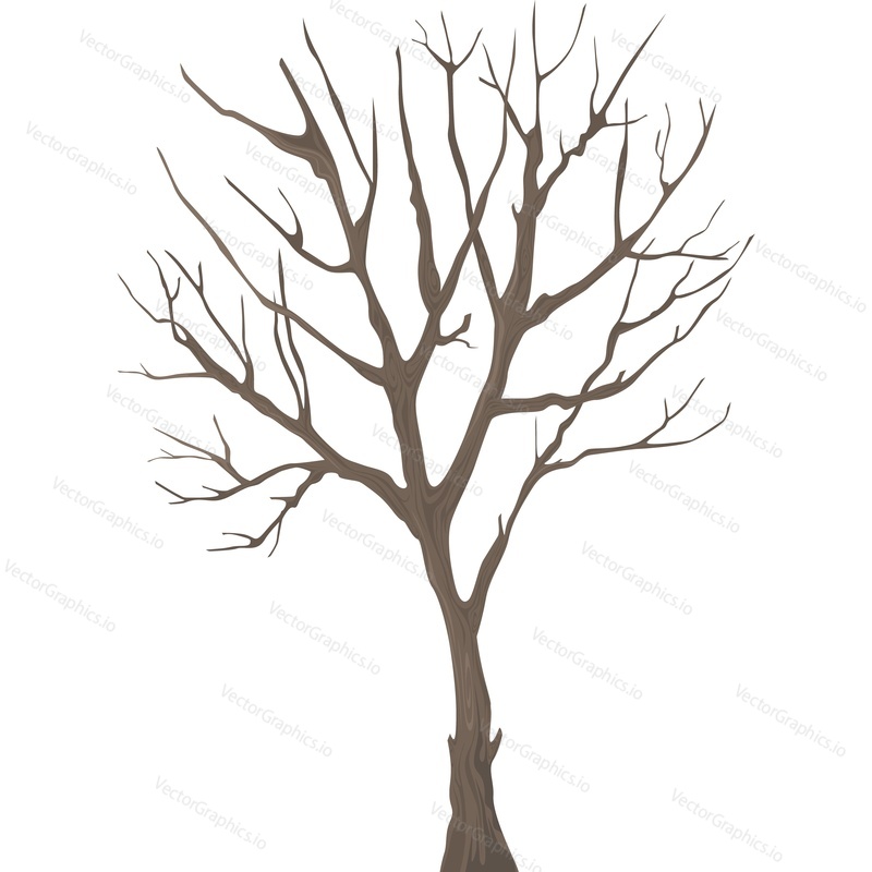 Winter tree vector icon isolated on white background