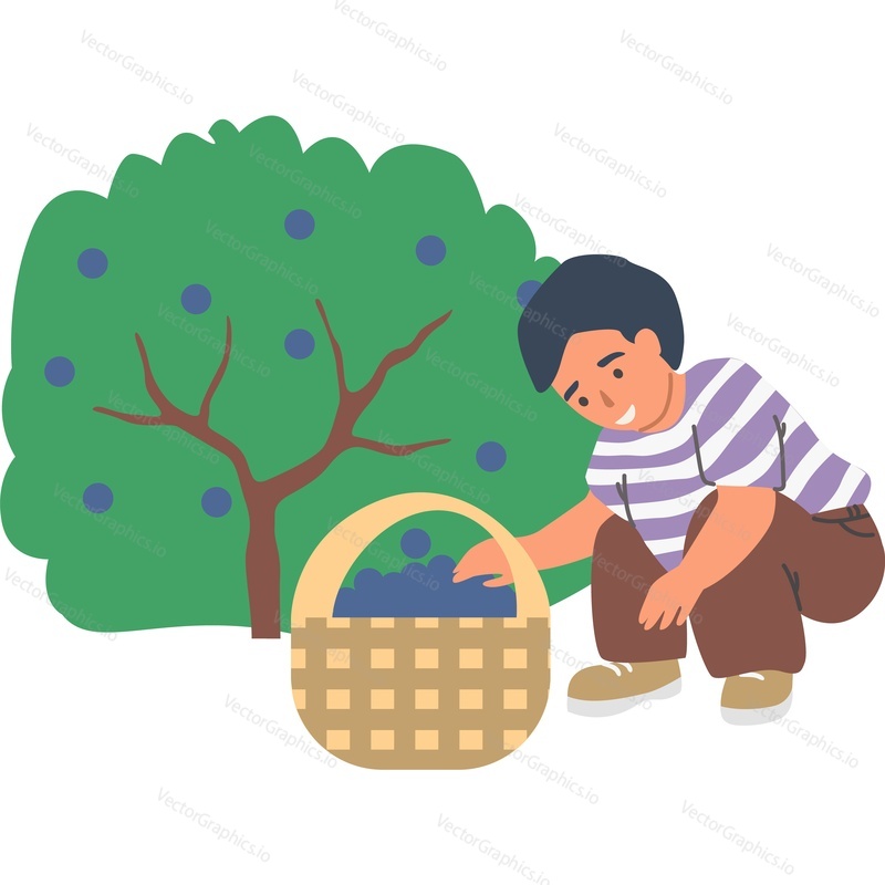 Little boy child picking fruit vector icon isolated on white background.
