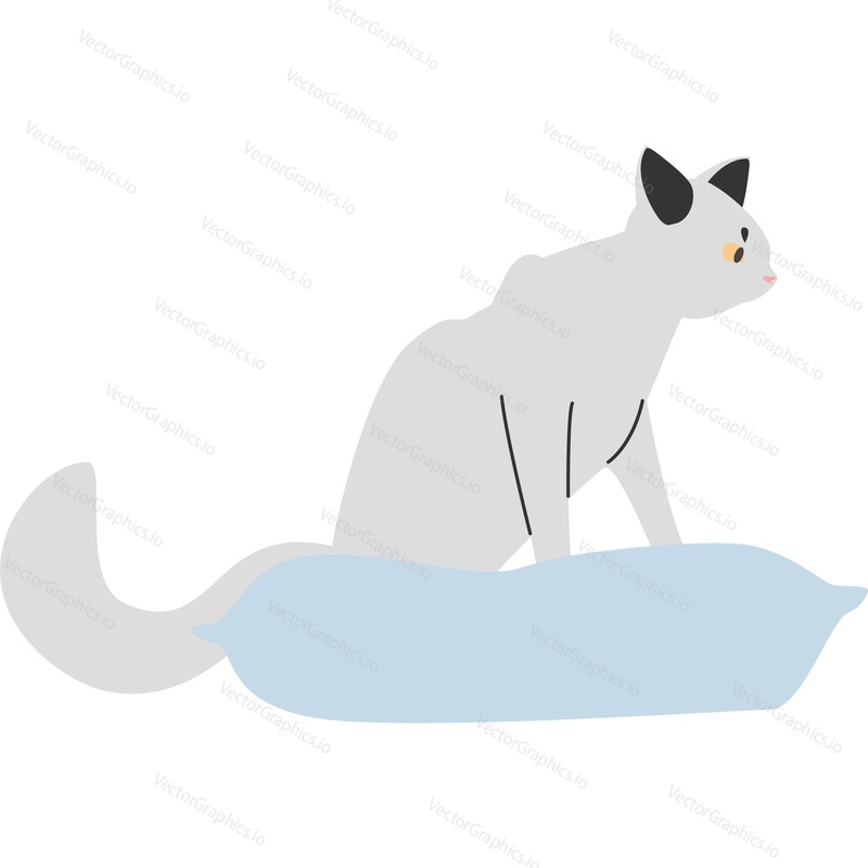 Cute cat on pillow vector icon isolated on white background.