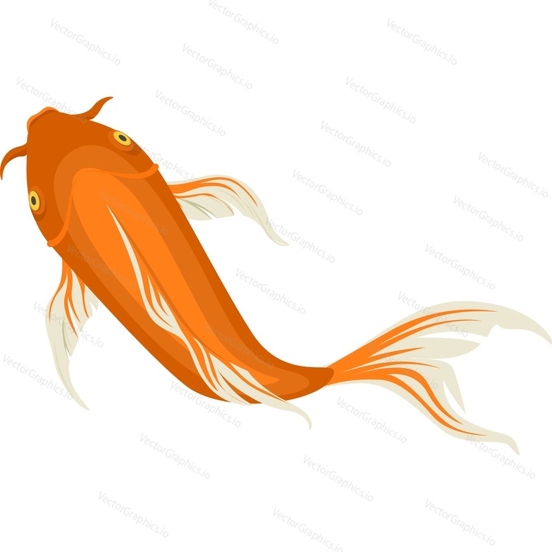 Orange koi fish vector icon isolated on white background.