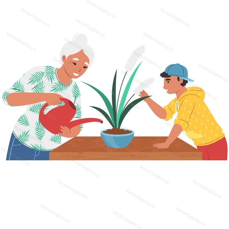 Бабушка и внук вместе поливают цветок, ухаживают за комнатным растением векторная иконка, изолированная на белом фоне