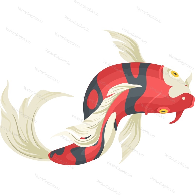 Koi fish top view vector icon isolated on white background.