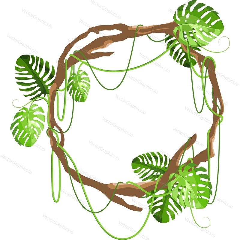 Tropical green plants leaves wreath vector icon isolated on white background.