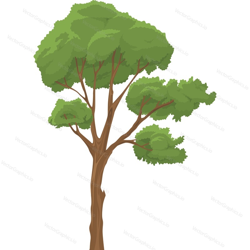 Green tree vector icon isolated on white background