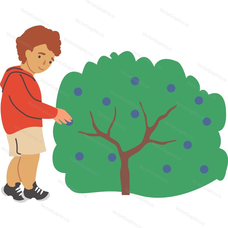 Little boy kid picking fuits from garden bush vector icon isolated on white background.