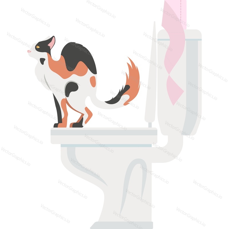 Векторная иконка кошки в туалете, изолированная на белом фоне