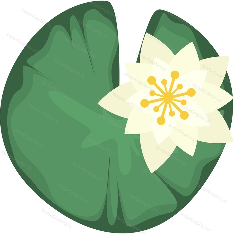 blooming water lily vector icon isolated on white background.