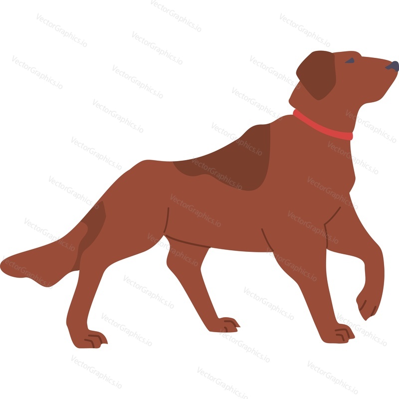 Dog walking vector icon isolated on white background