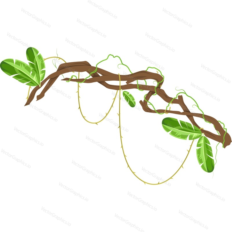 Tropical tree branch with leaves vector icon isolated on white background.
