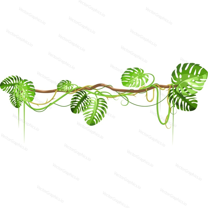 Tropical green plants leaves twig vector icon isolated on white background.