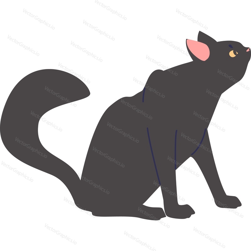 Векторный значок черной кошки, изолированный на белом фоне