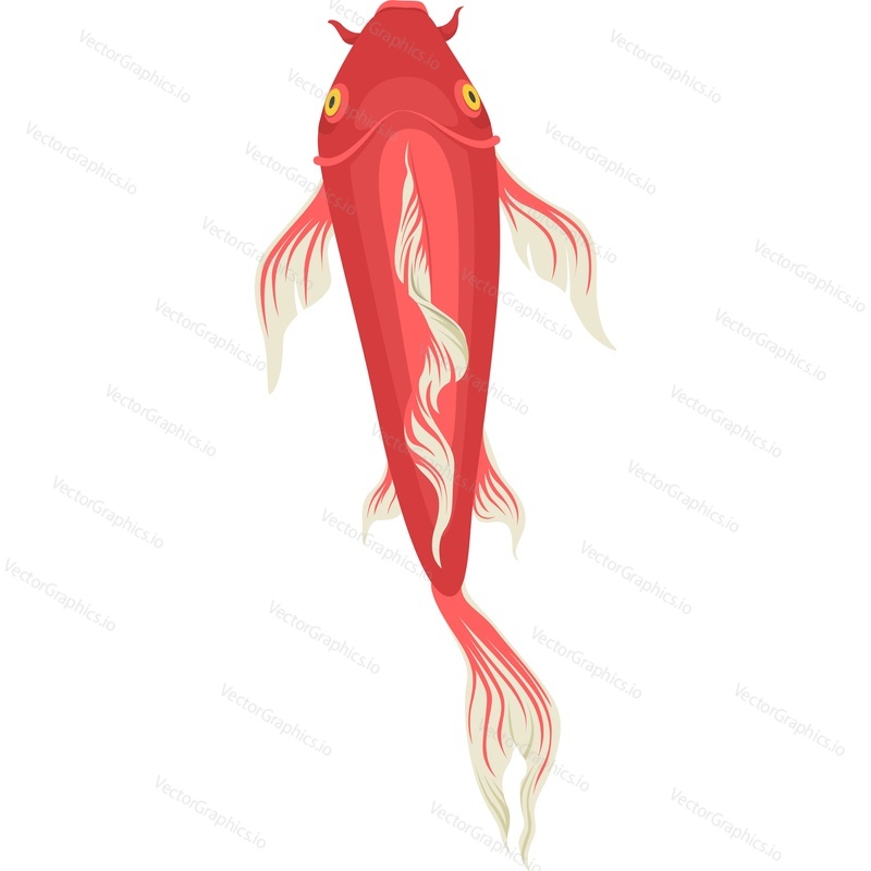 Векторный значок красной рыбы кои, изолированный на белом фоне.