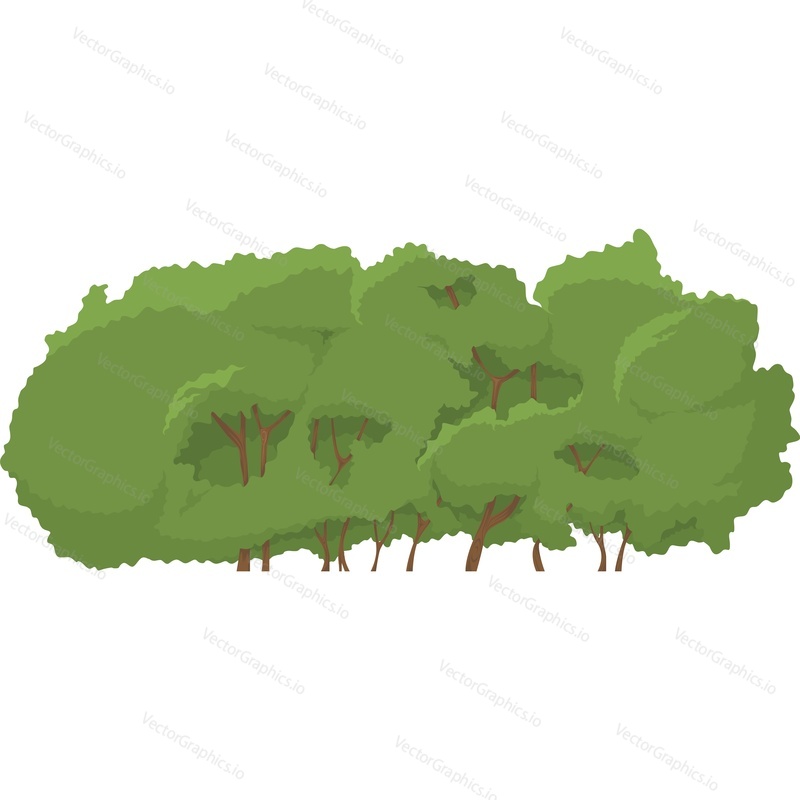 Lush summer bush vector icon isolated on white background