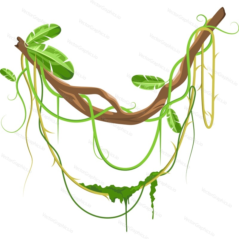 Rainforest tropical plant twig vector icon isolated on white background.