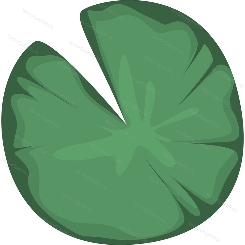 green water lily leaf vector icon isolated on white background.