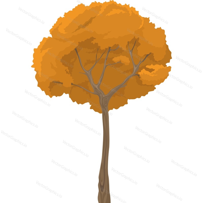 Осеннее дерево с векторной иконкой оранжевой кроны, изолированной на белом фоне