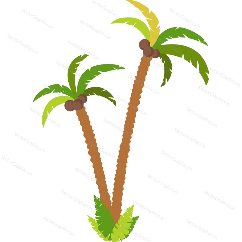 Coconut palm tree vector icon isolated on white background