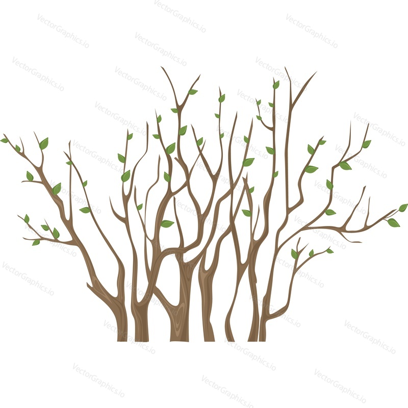 Spring bush vector icon isolated on white background