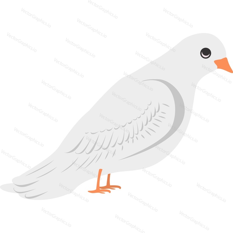 Pigeon bird vector icon isolated on white background