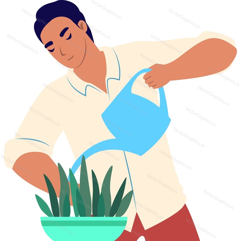 Человек, работающий по дому, поливает цветок векторной иконкой, изолированной на белом фоне
