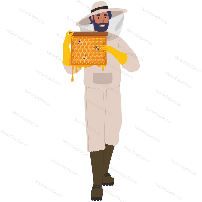 Пчеловод и медоносная пчела. Пасечник в шляпе, держащий соты с пчелиным насекомым и вектором меда. Работник пасечной фермы, выделенный на белом фоне. Иллюстрация пчеловодства и производства сладкого здорового органического нектара