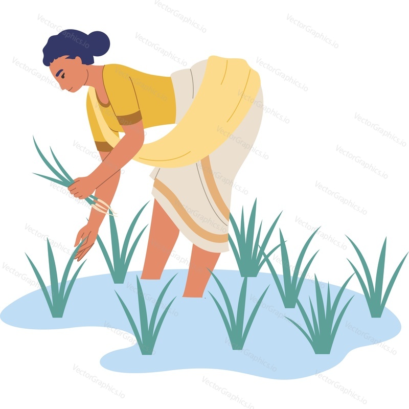 Indian woman farmer picking plants on field vector icon isolated background.