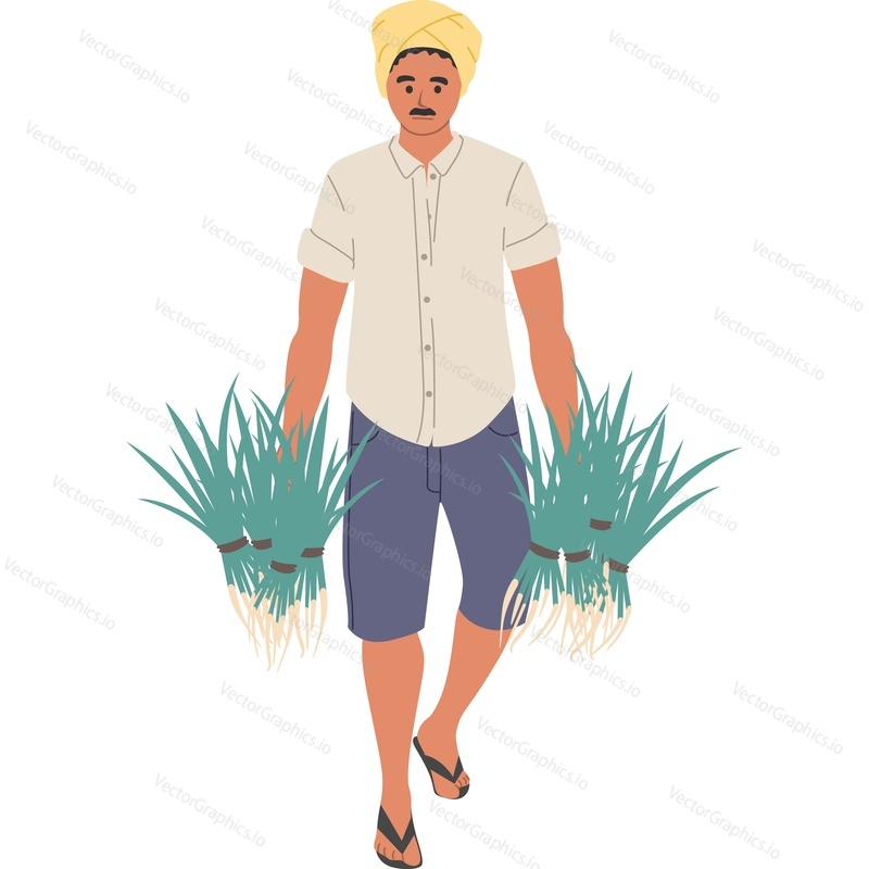 Индийский мужчина-фермер, несущий пучки растений, собирающих урожай, векторная иконка на изолированном фоне.